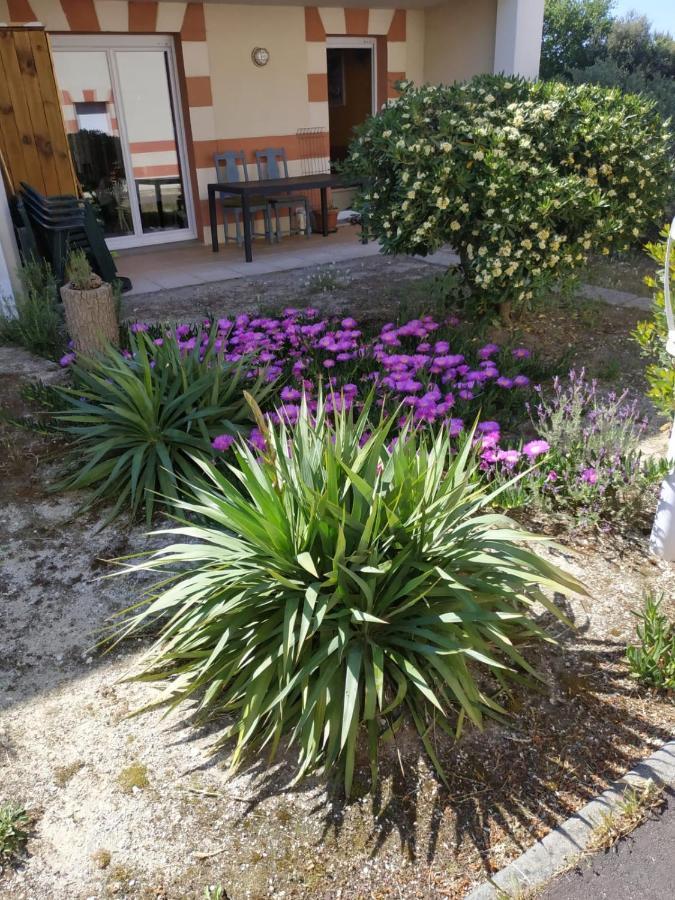 Apartment Spacieux Verdon Sur Le Verdon-sur-Mer